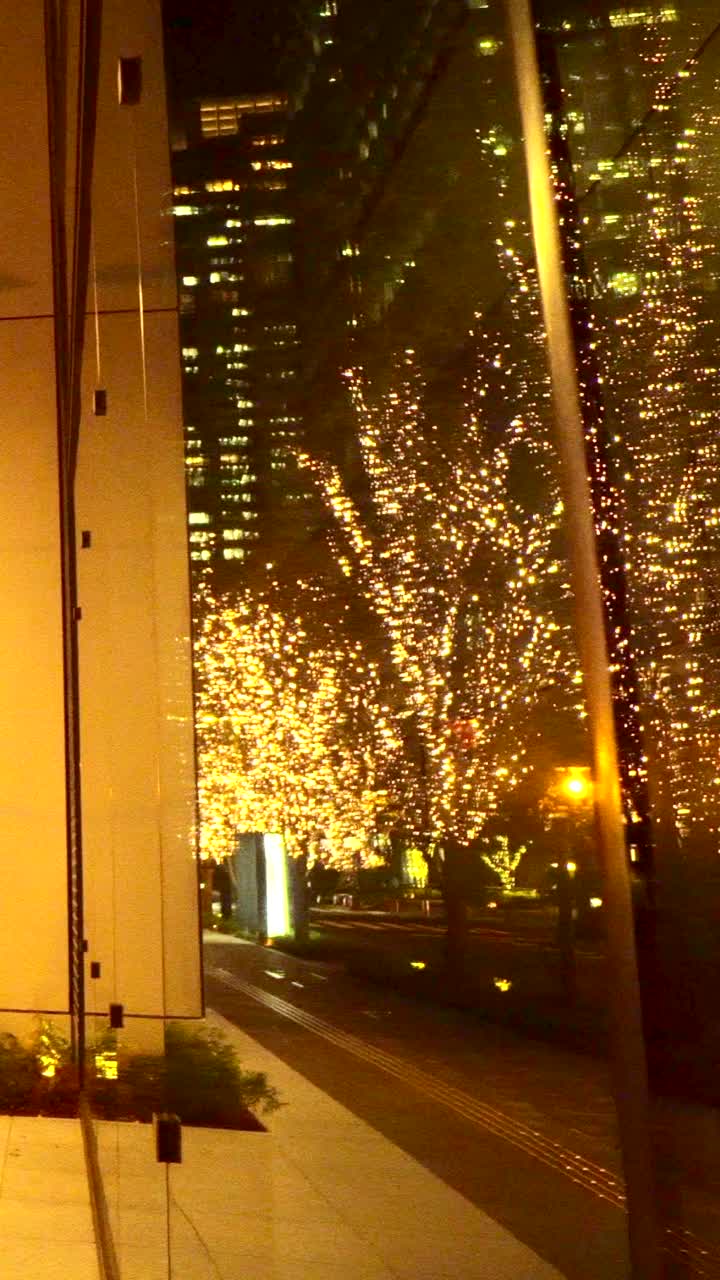 日本东京丸之内的冬季照明视频下载