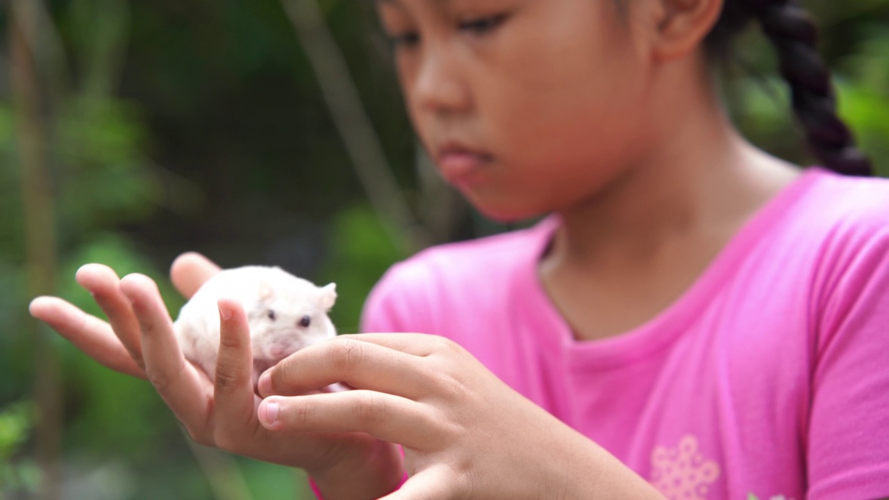 亚洲女孩拿着小白鼠玩视频素材
