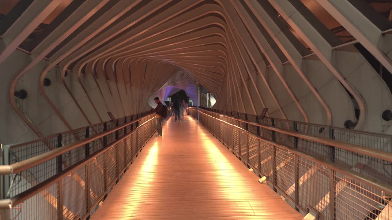 亚洲大城市的人行天桥视频素材