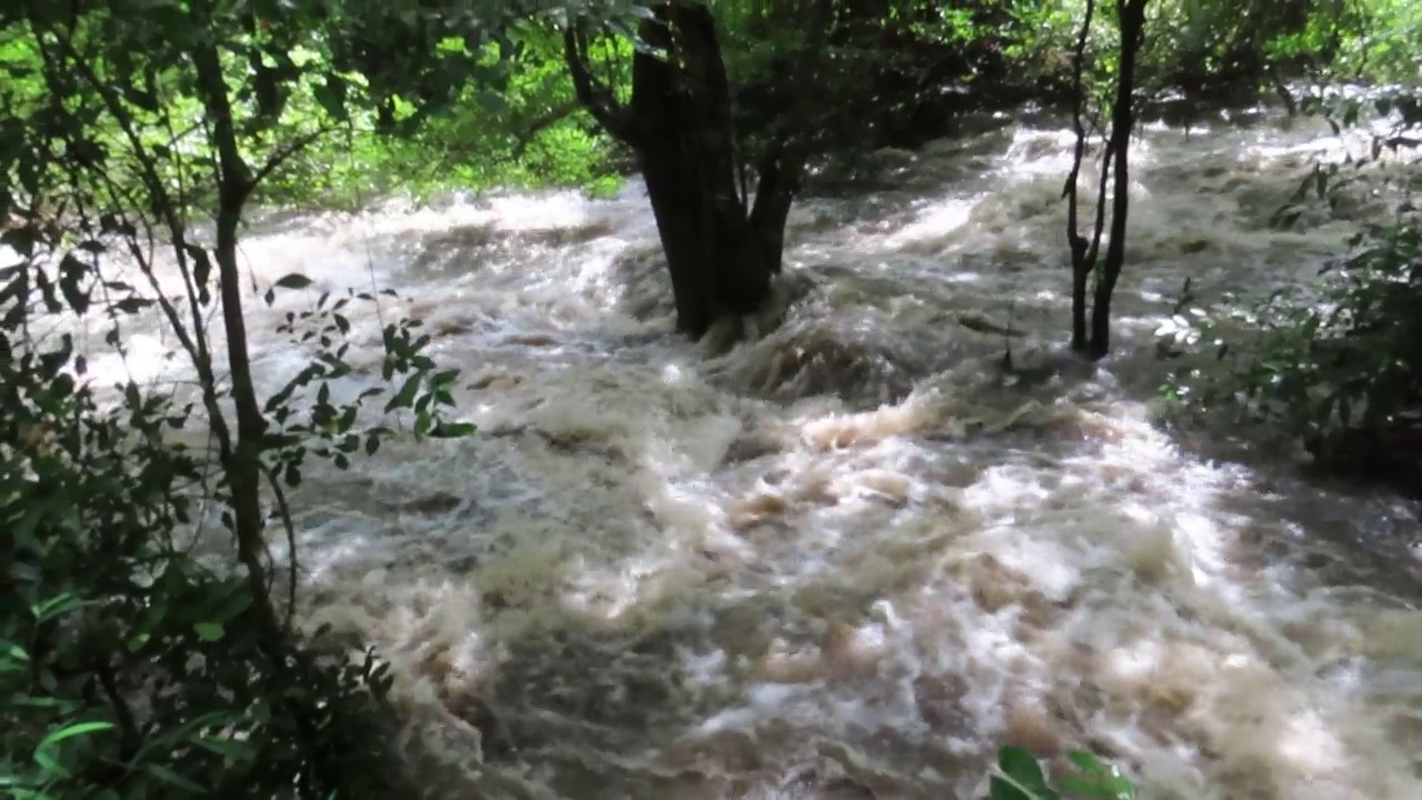 小溪的水在泥泞泛滥的河流视频素材