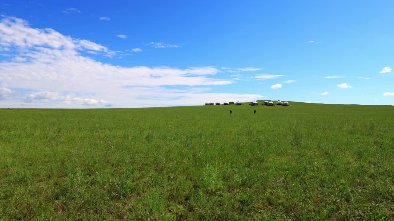 呼伦贝尔草原。视频下载