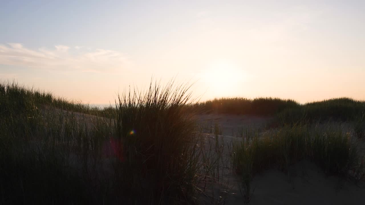 日落在沙滩上视频素材