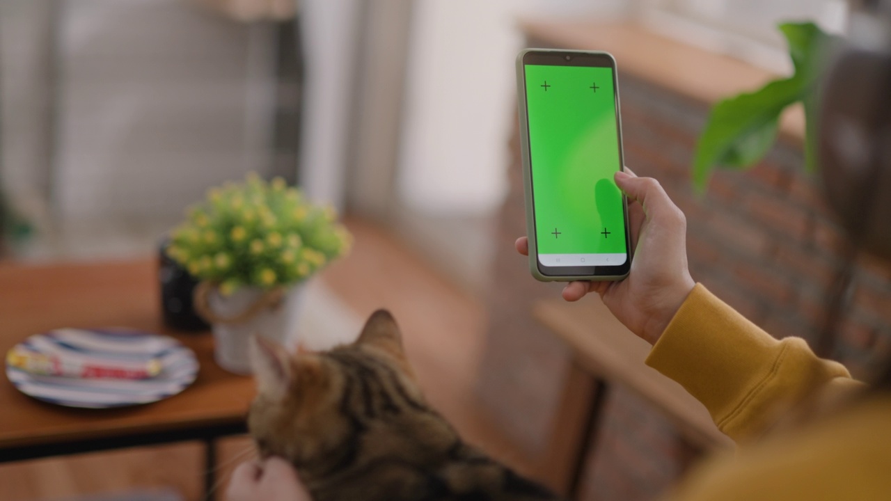 一位女士坐在沙发上，在家里的客厅里使用并手持色度键绿屏智能手机进行宠物救援捐赠。她的基蒂躺着，坐在她的腿上。视频素材