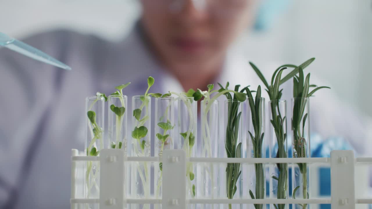在实验室里用植物做实验的科学家视频素材