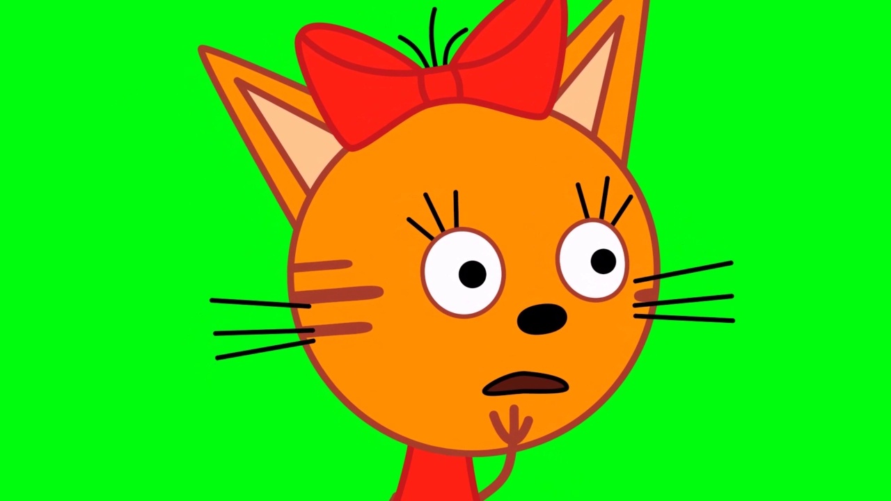 焦糖猫上的色度键。猫说话，绿色背景上的人物，卡通动画视频下载