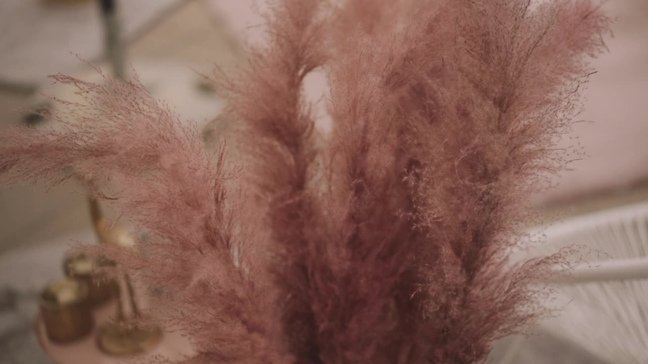 婚礼桌上装饰粉红色羽毛状潘帕斯草籽视频下载