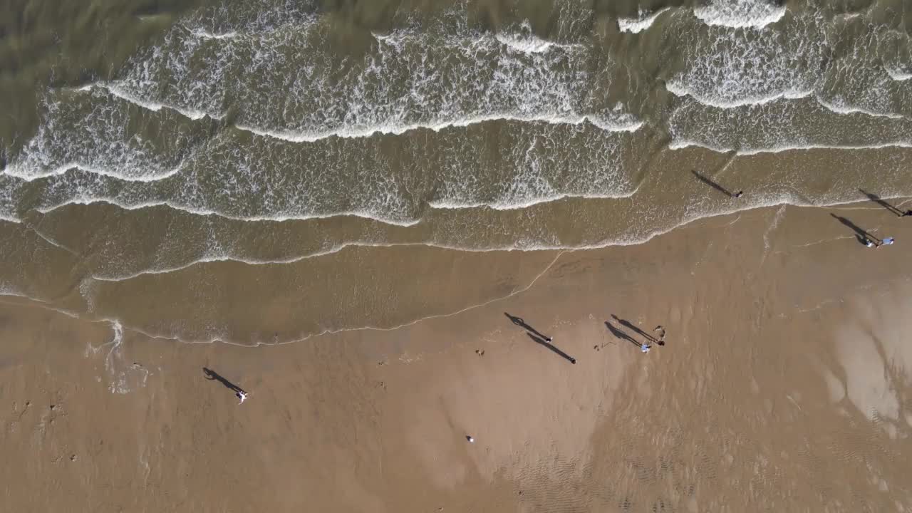 海滩、海浪和海岸线上的游客视频素材