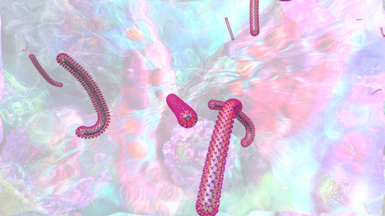 埃博拉病毒粒子，动画视频素材