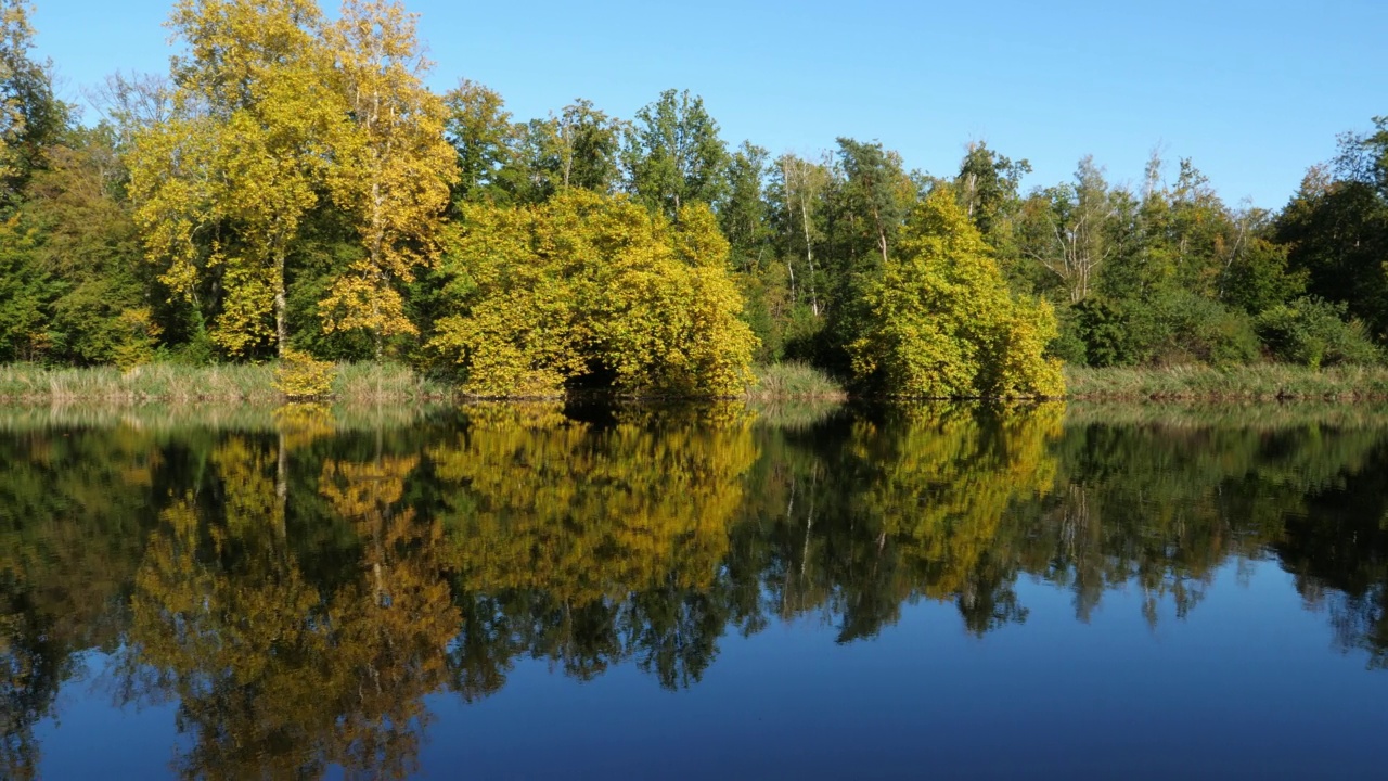 法国皮卡第贡比涅森林的圣佩林池塘。视频素材