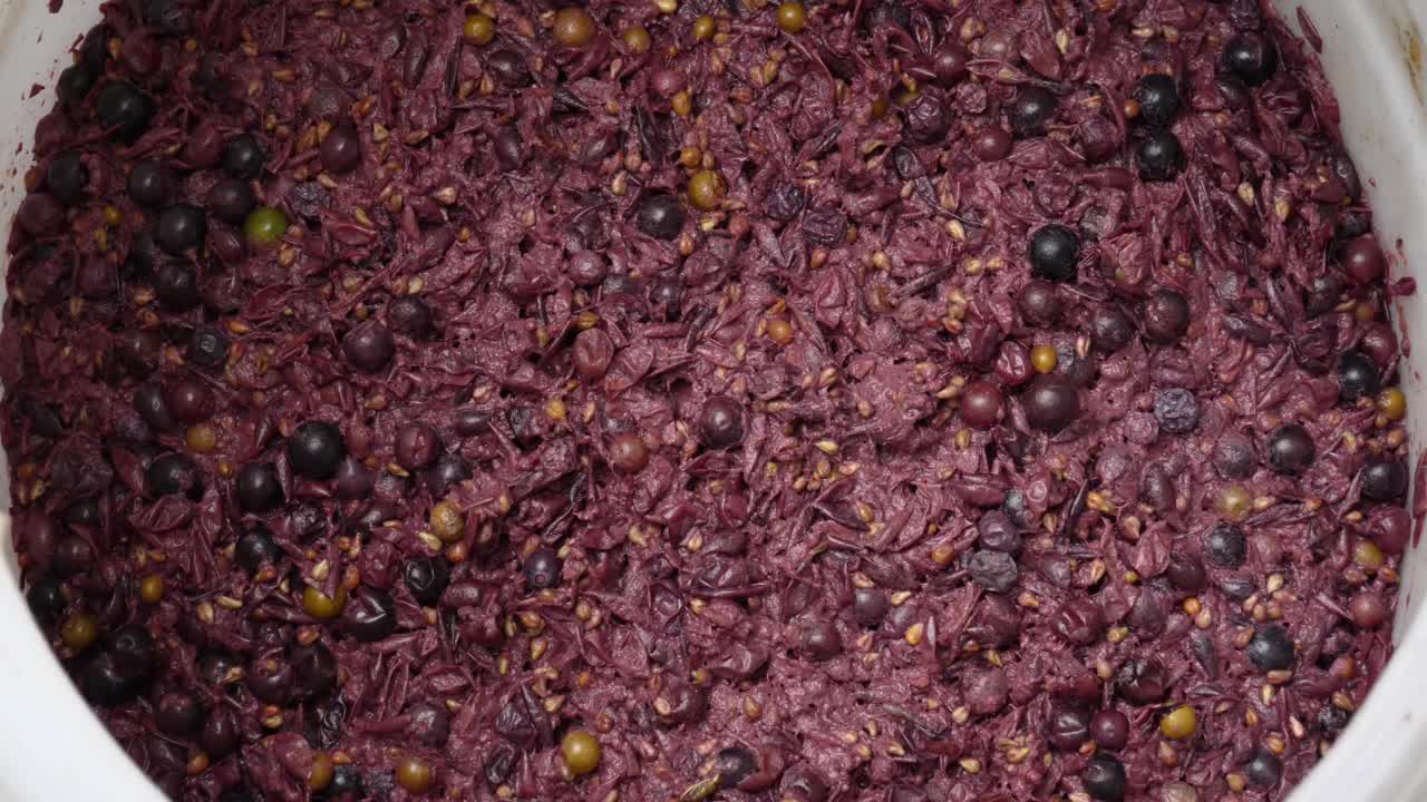 在桶中加工发酵的红酒葡萄视频下载