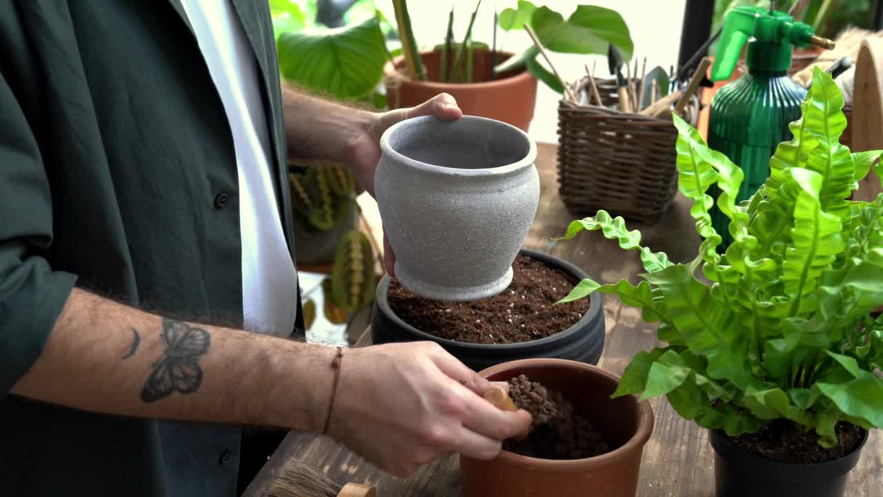植物保健视频下载