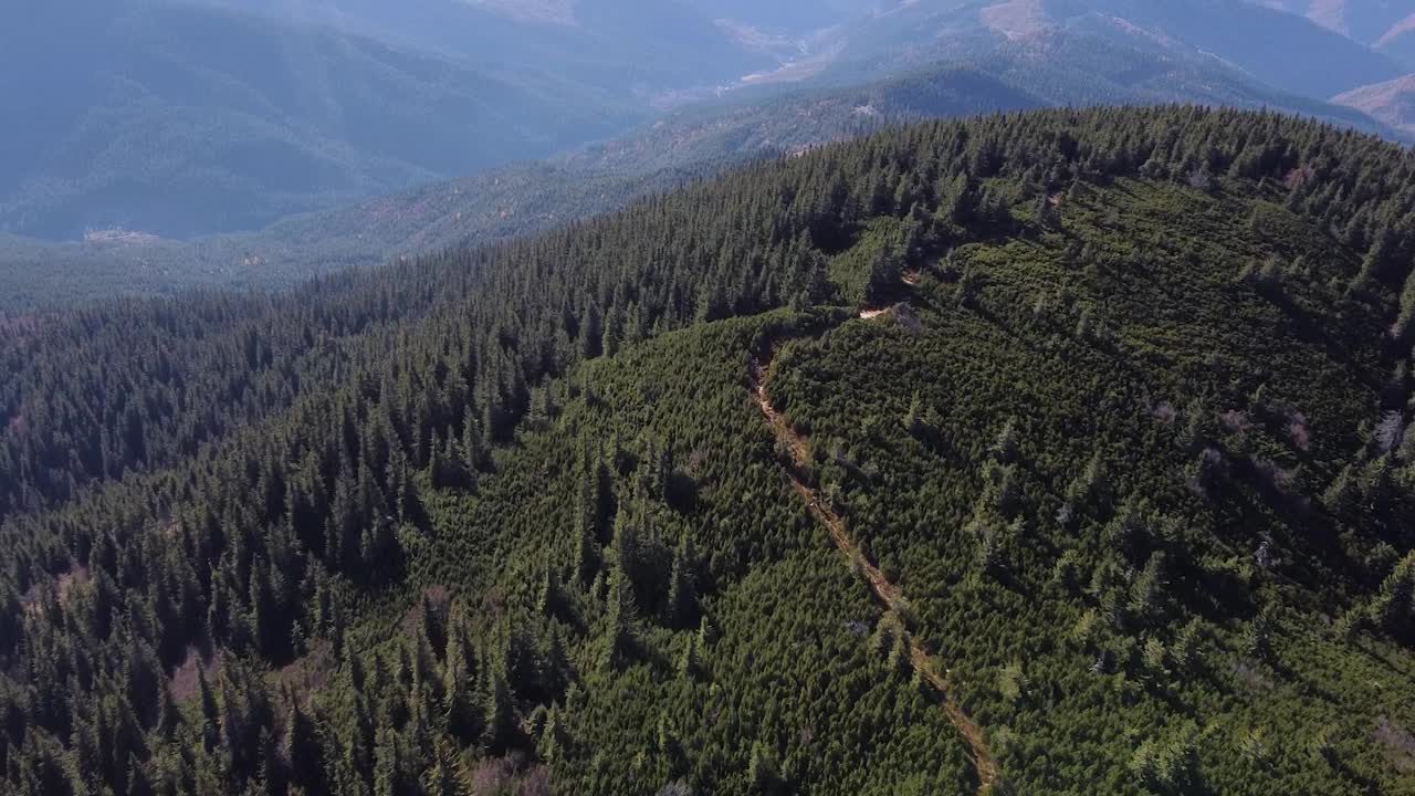 无人机拍摄的森林里的山路视频素材