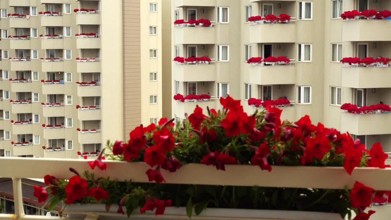 花艺和花卉装饰的概念。多层居民楼阳台上的花。视频下载