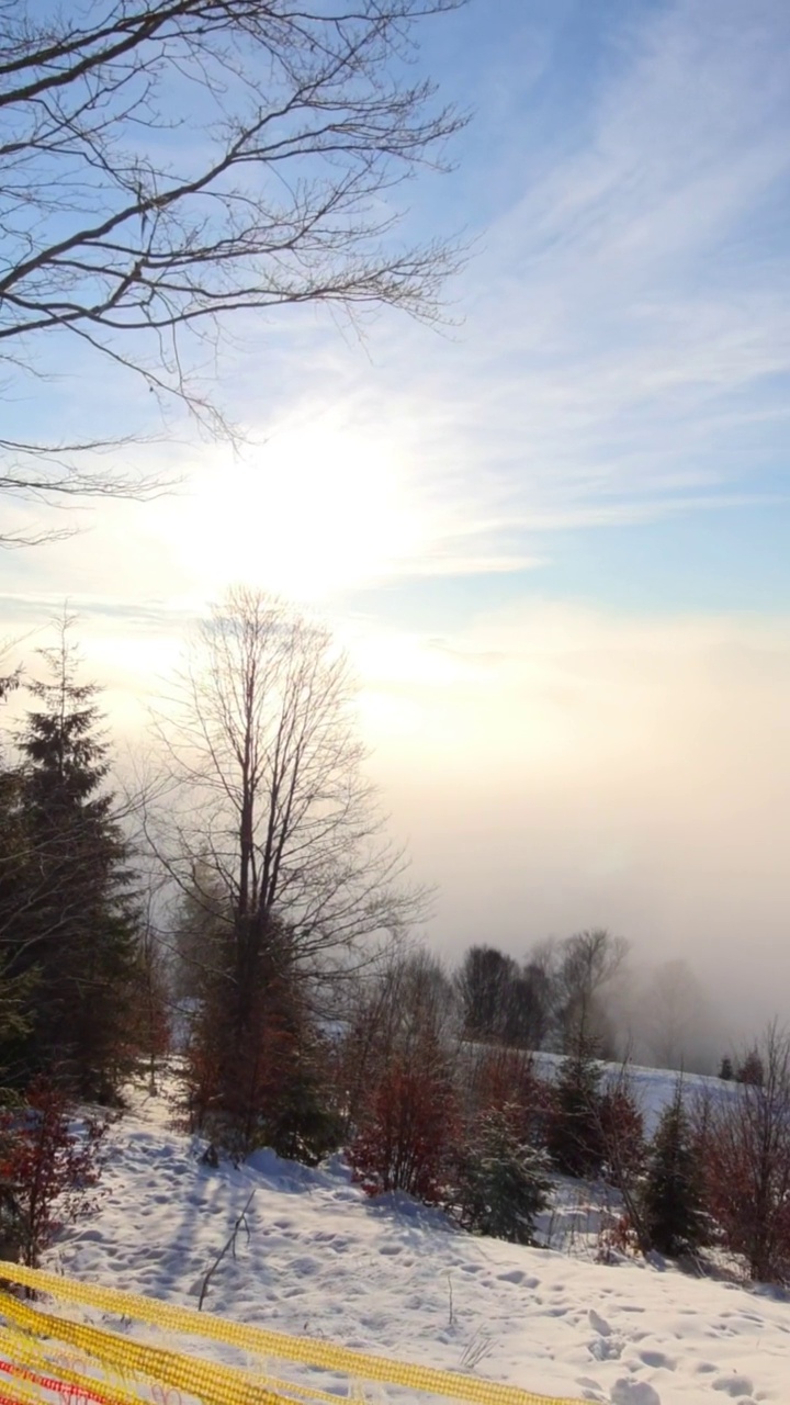 喀尔巴阡山脉冬季景观视频素材