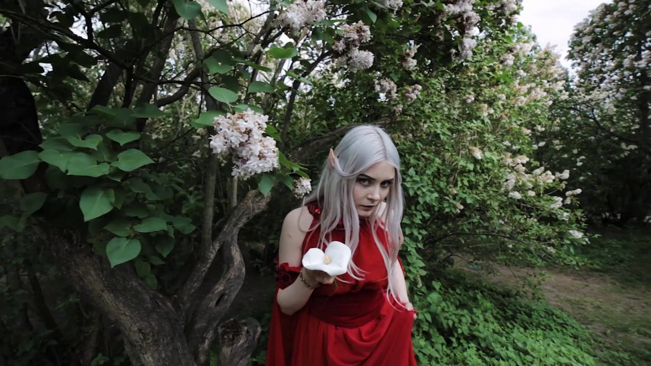 森林里穿红裙子的精灵女人。视频素材