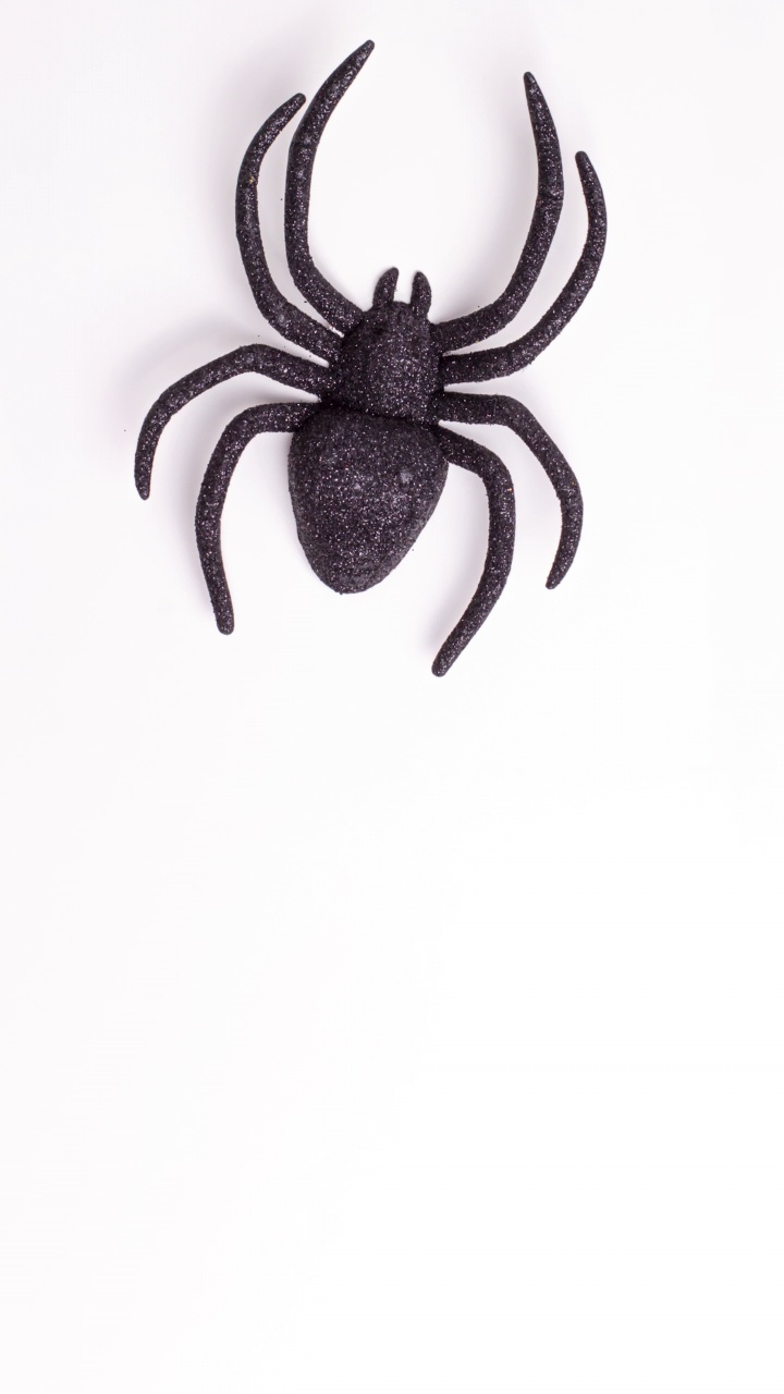 定格动画的平面铺设横幅一个黑色恐怖蜘蛛旋转其轴线上的白色背景与复制空间。万圣节装饰鬼魅背景概念的节日视频下载