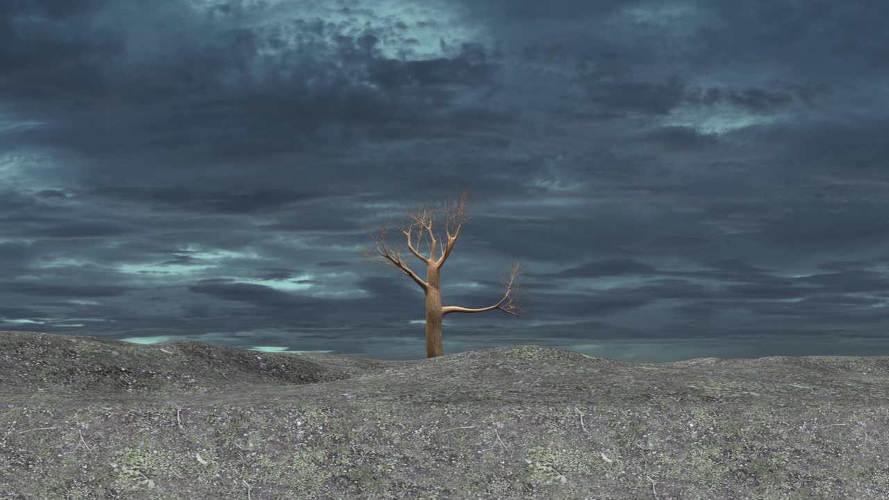 3d动画呈现树木在四季视频素材