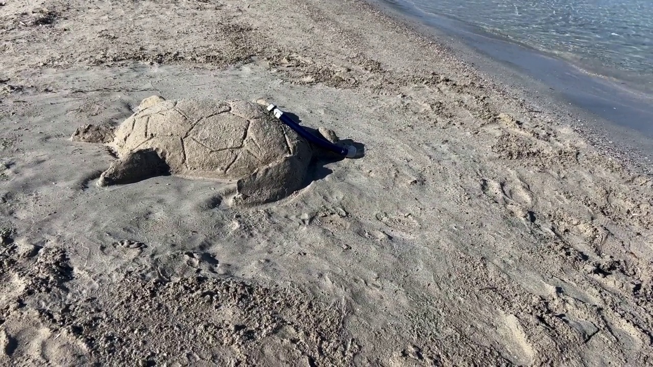现实有趣的沙滩上的海龟与通气管的创造。假期和夏天的概念视频下载
