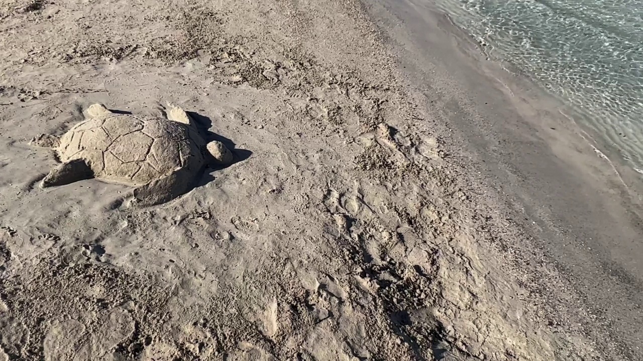 用岸上的沙子造的海龟。假期和夏天的概念视频素材