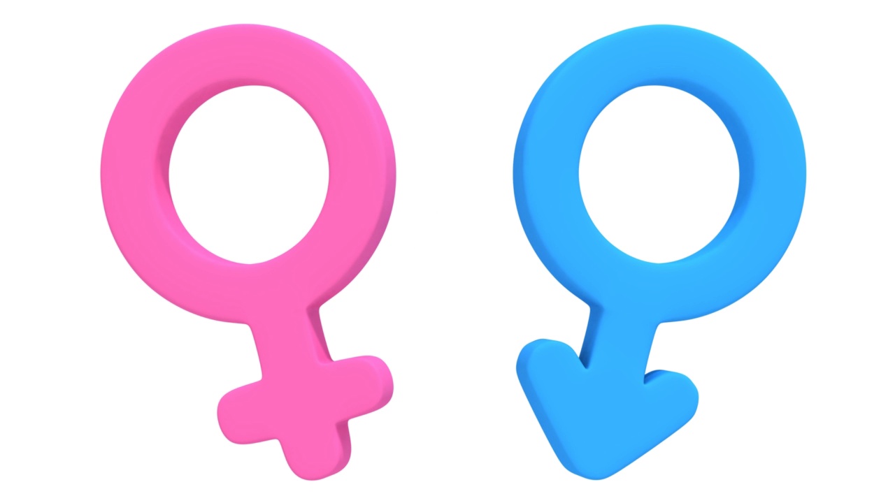 男性和女性标志旋转动画视频下载