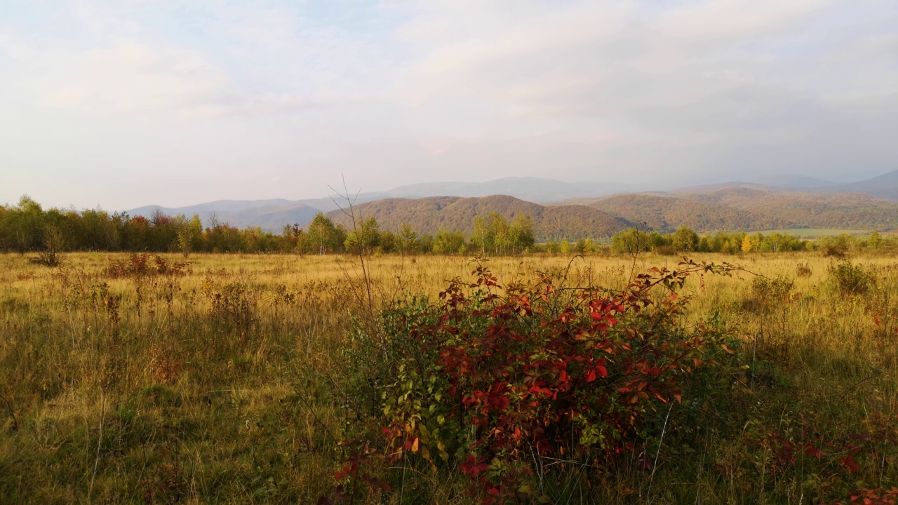 时间把乡村高地的秋景圈成一圈视频下载