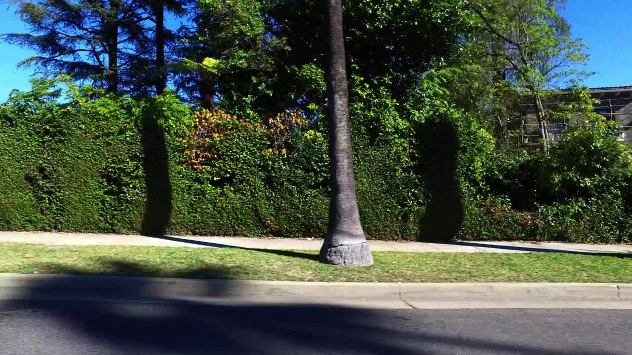 从车辆的角度看，在阳光灿烂的日子里，公园里的树木在蓝天下生长-洛杉矶，加利福尼亚视频下载