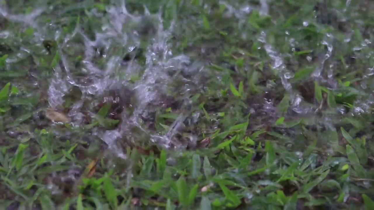 淅淅沥沥的雨点落在绿色的院子里视频下载
