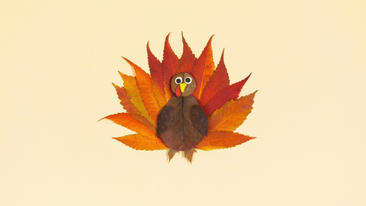 秋季火鸡用红色的秋叶做成。感恩节的概念。土耳其摇了摇头，眨了眨眼。淡黄色背景。视频下载