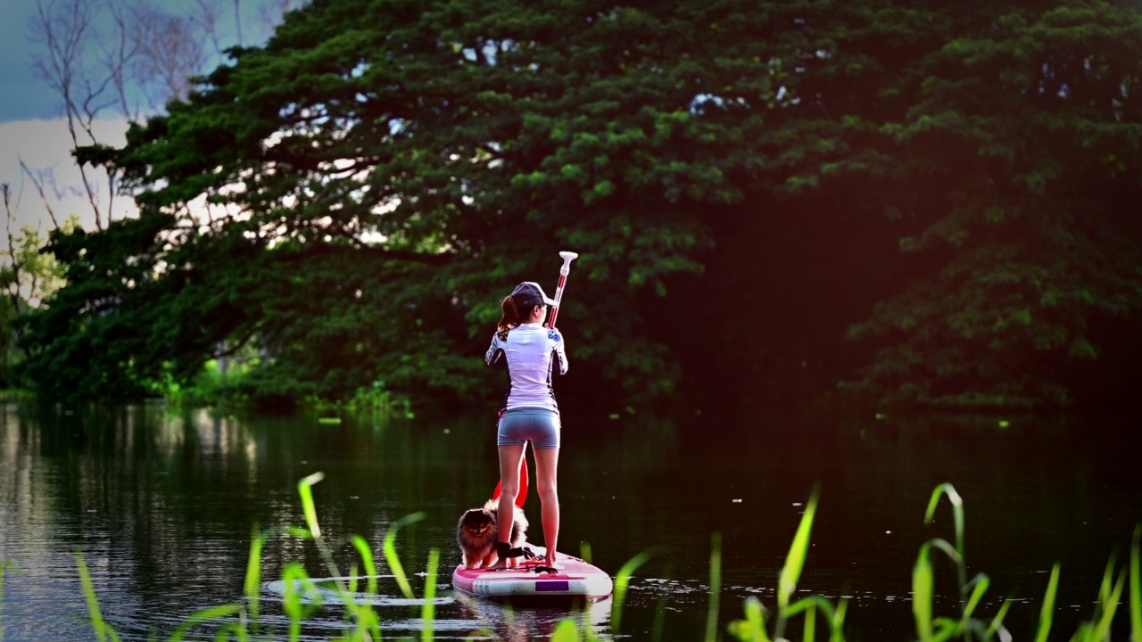 在湖上划桨视频下载