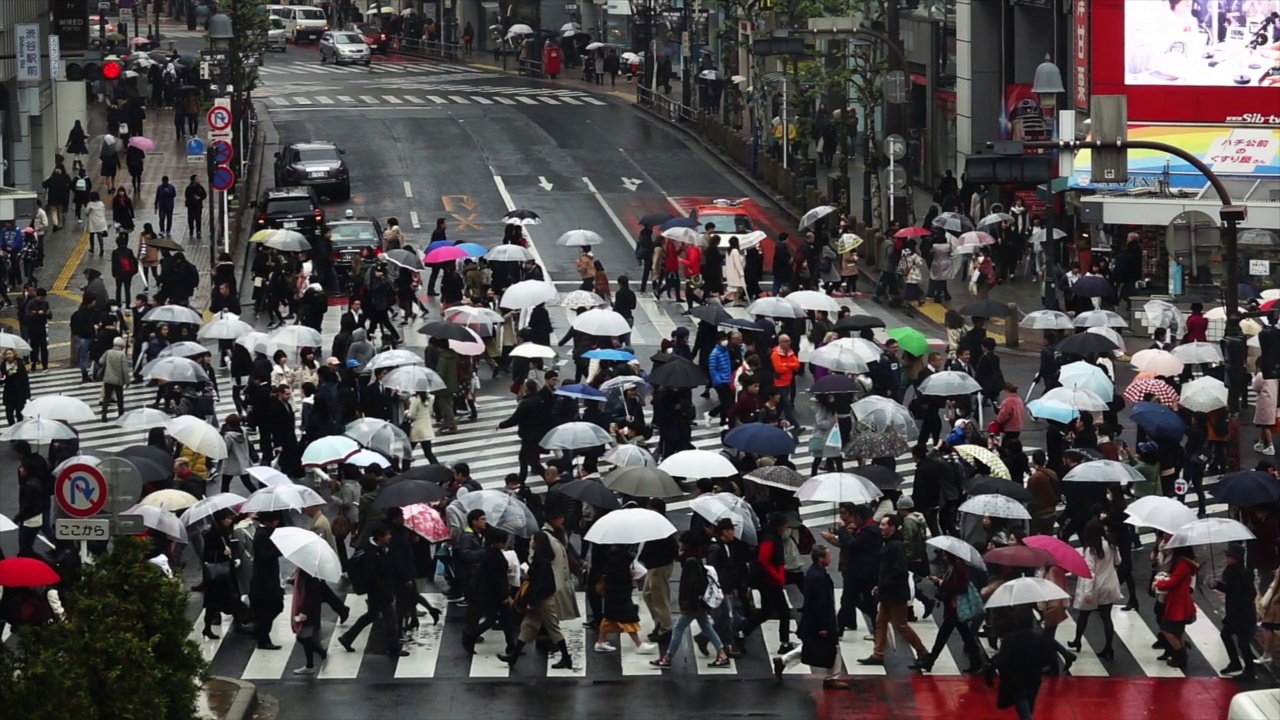 日本东京涩谷十字路口。视频素材