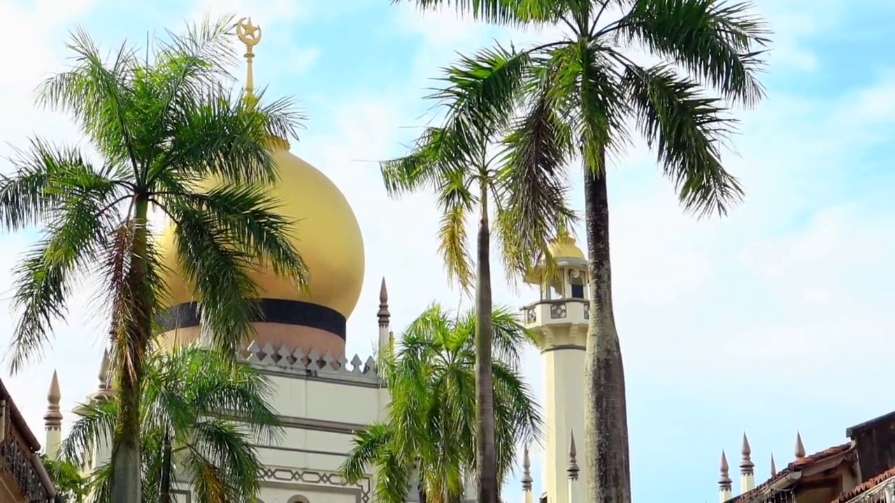 新加坡的苏丹清真寺和棕榈树映衬着蓝天视频素材