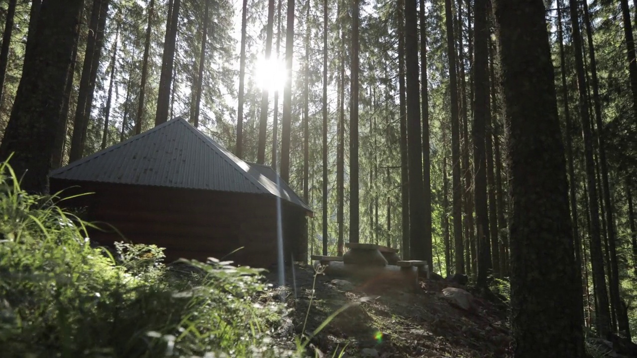 森林人的房子霍比特人的房子视频素材