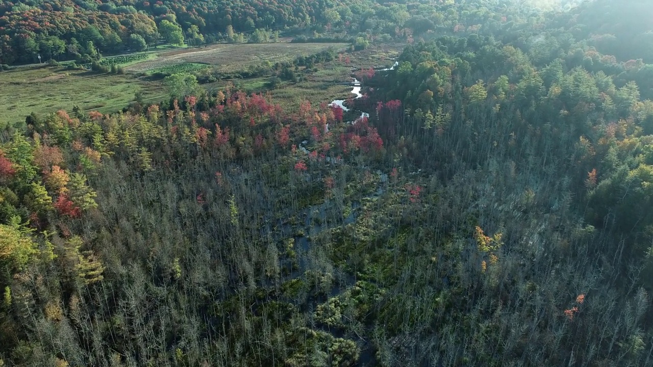 秋天空中飞越彩色森林和农场与晨雾在山谷视频下载