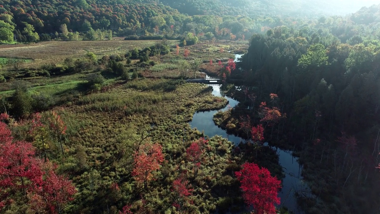 秋天空中飞越彩色森林和农场与晨雾在山谷视频下载