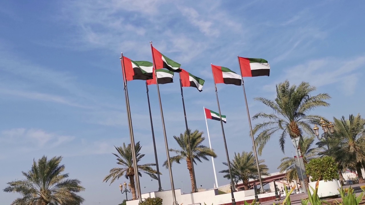 阿联酋国旗在风中飘扬。视频下载
