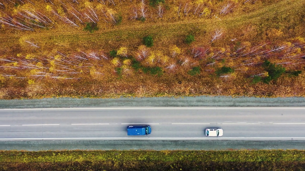 在深秋的树林中，沿着两车道高速公路飞行，汽车驶过，无人机鸟瞰图。视频素材