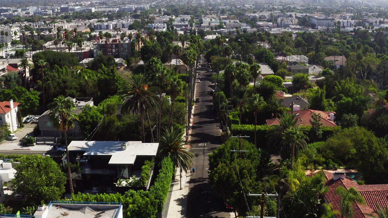 在洛杉矶，推过棕榈树并倾斜到街道的航拍镜头视频素材