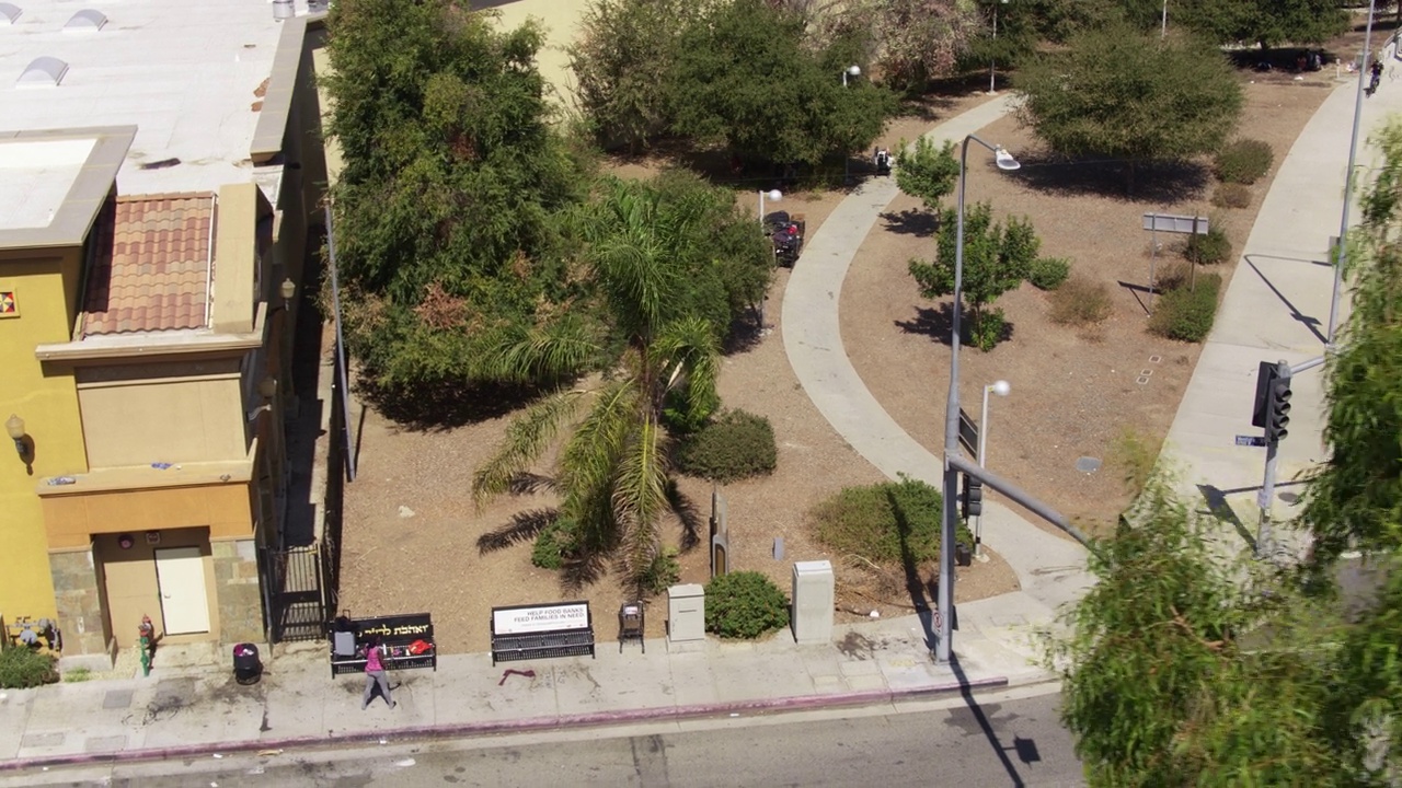 空中镜头俯瞰人行道推过去的树在洛杉矶视频下载