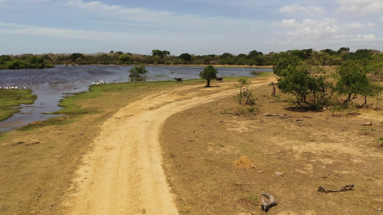 库马那国家公园有湖和鸟。视频素材