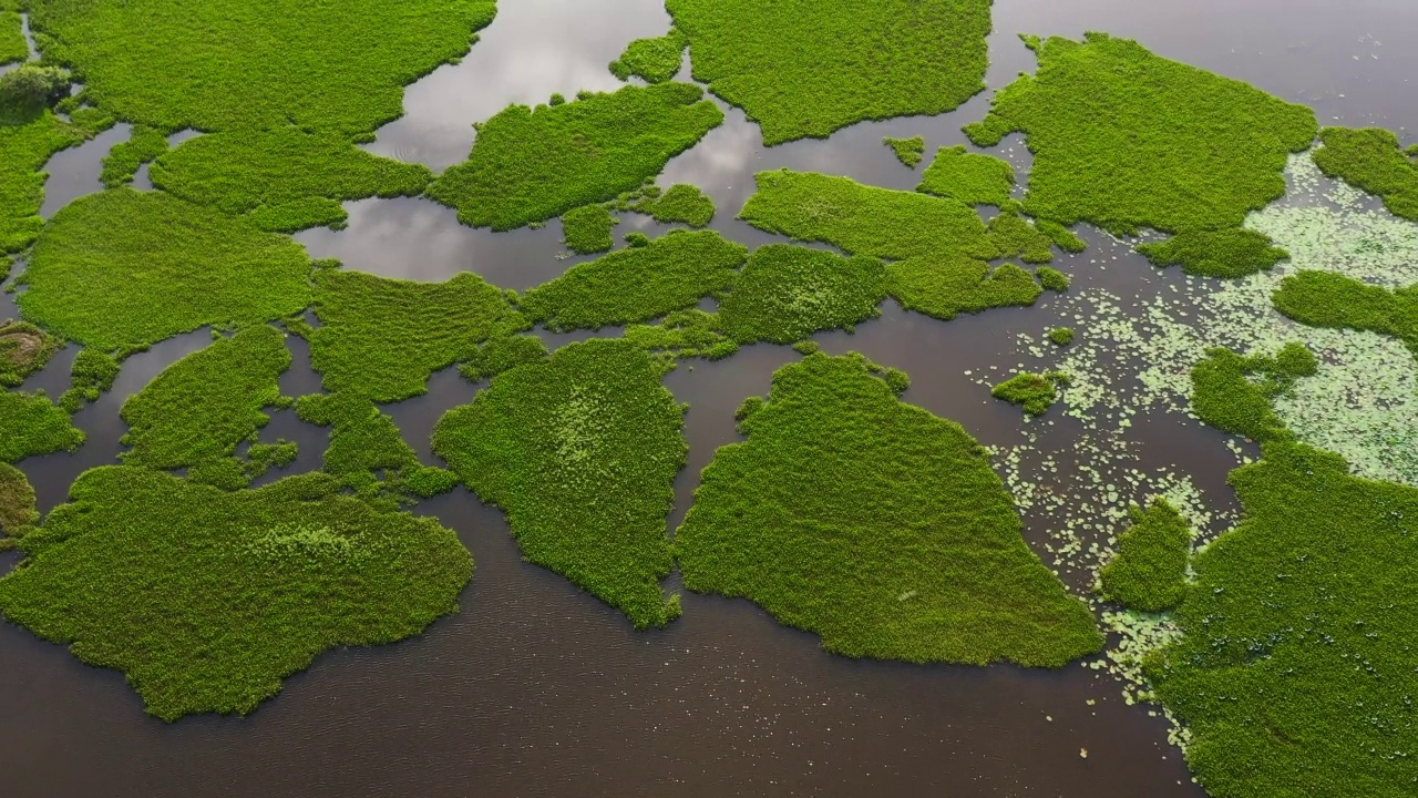 斯里兰卡的湿地。视频素材