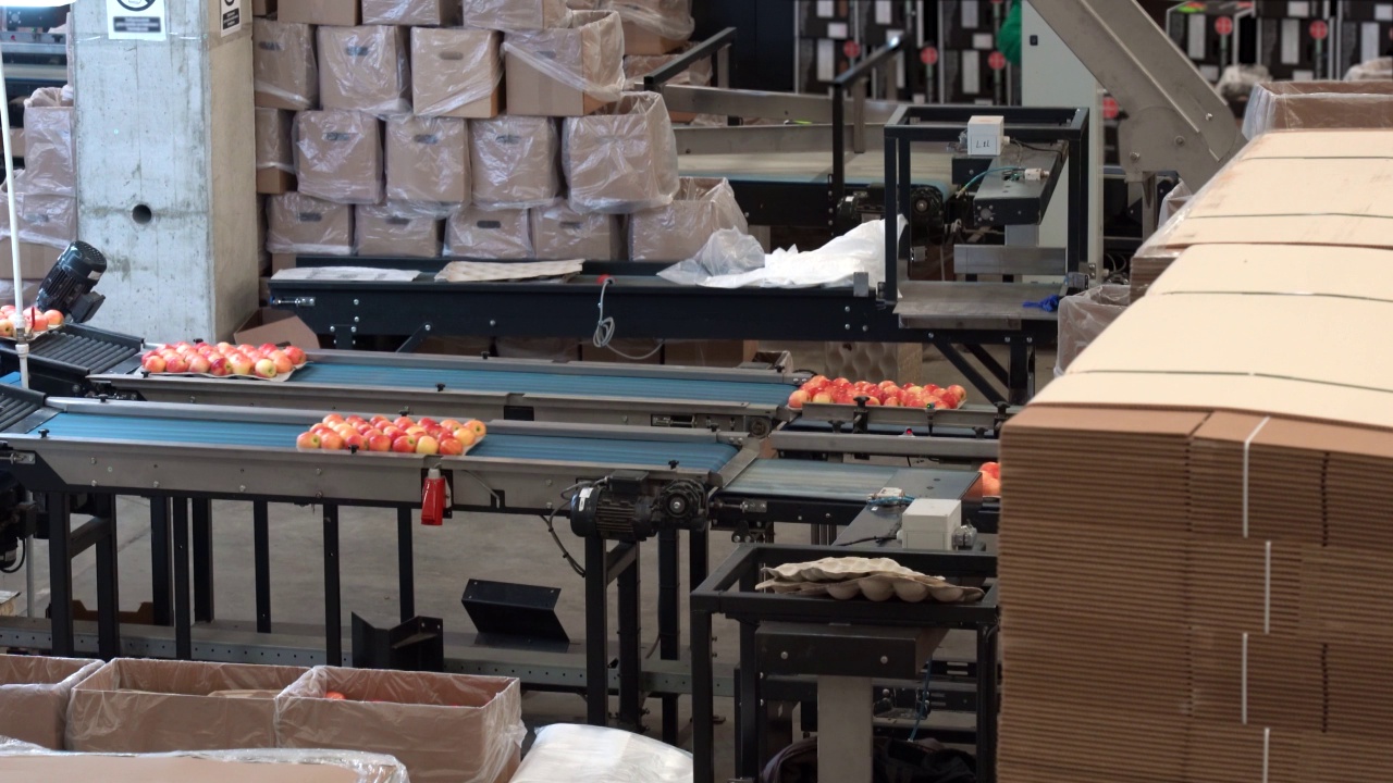 水果包装仓库传送带上环保包装的苹果视频素材