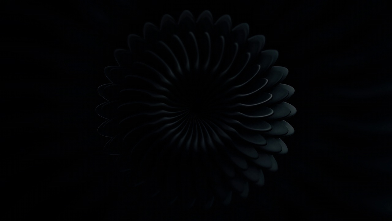 带花瓣的圆形移动图案。运动:带有花瓣的3D圆在孤立的背景上移动。漂亮的动画与圆形3d图形视频下载