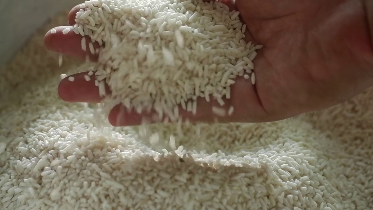 从碾米机中流出的米。手等待从碾米机接收米粒。视频下载
