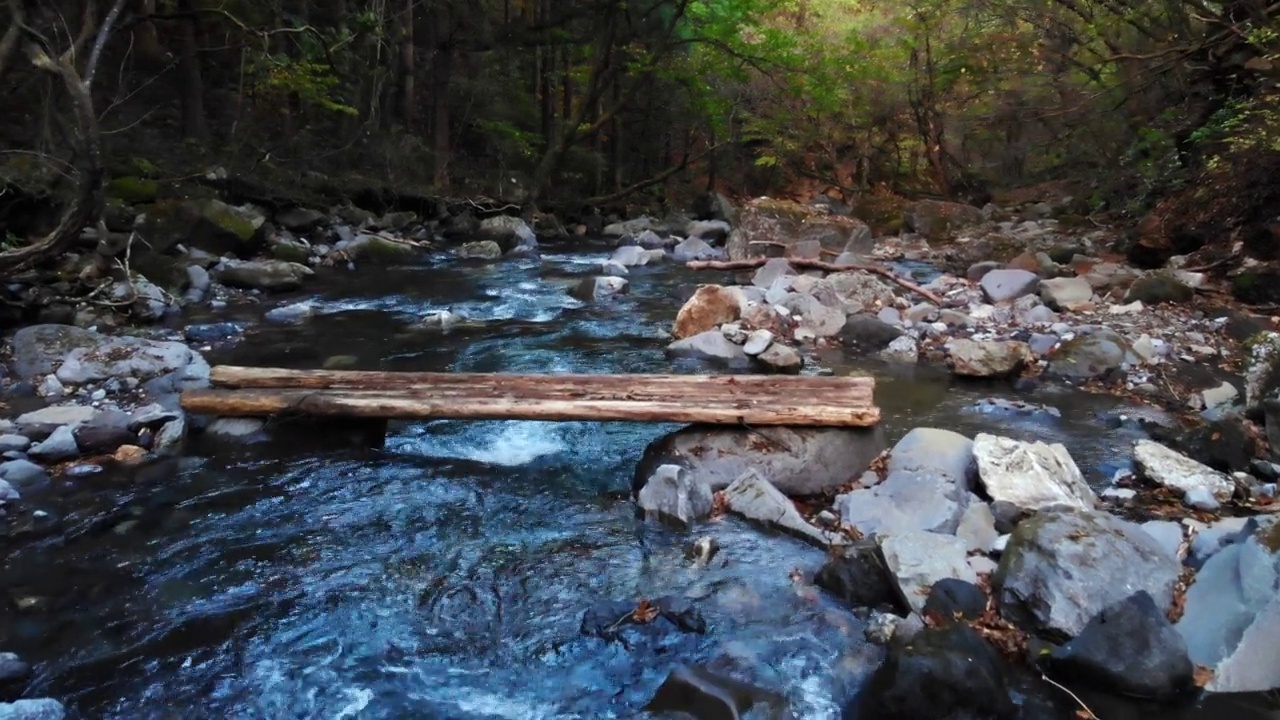 原始的桥由几根小山川的原木组成，摄像机低移视频素材