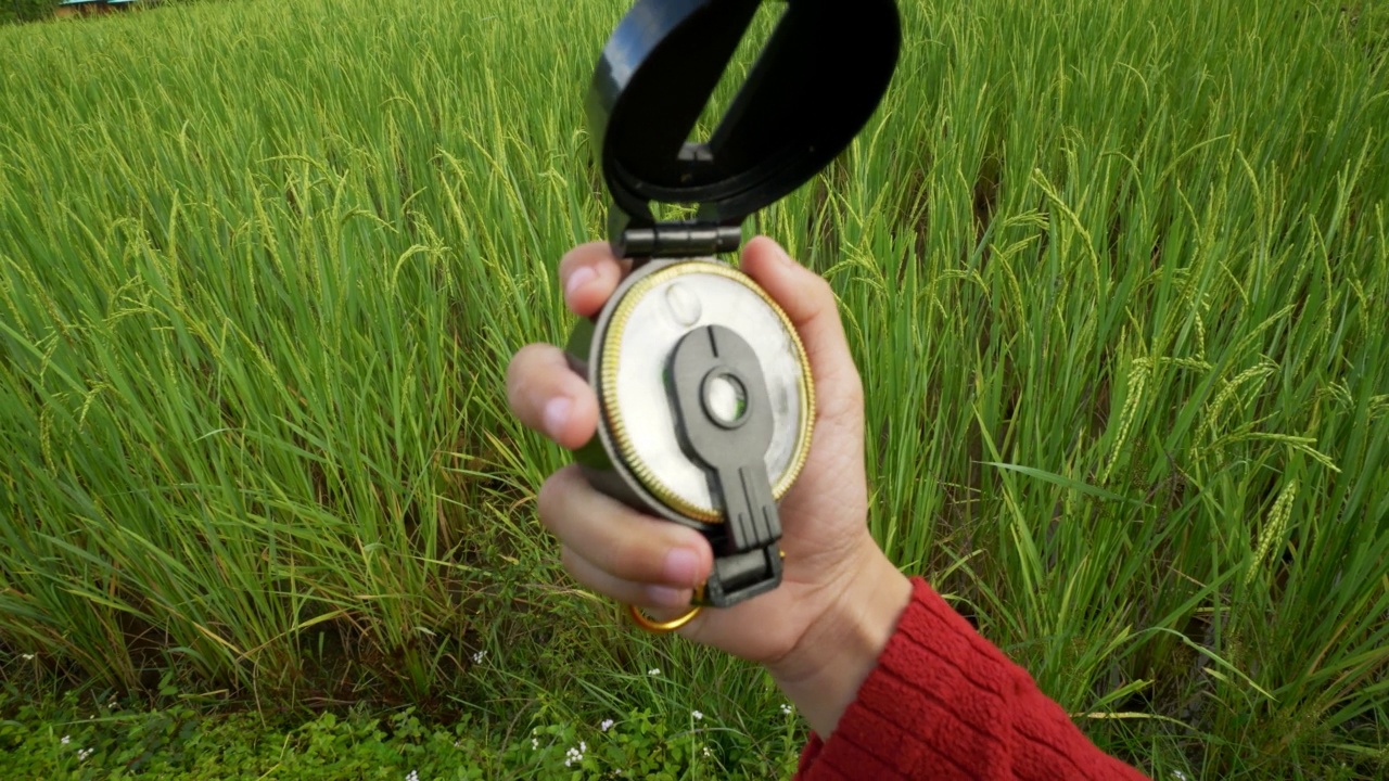 在一片绿色的稻田里，孩子手里拿着一个指南针。视频素材