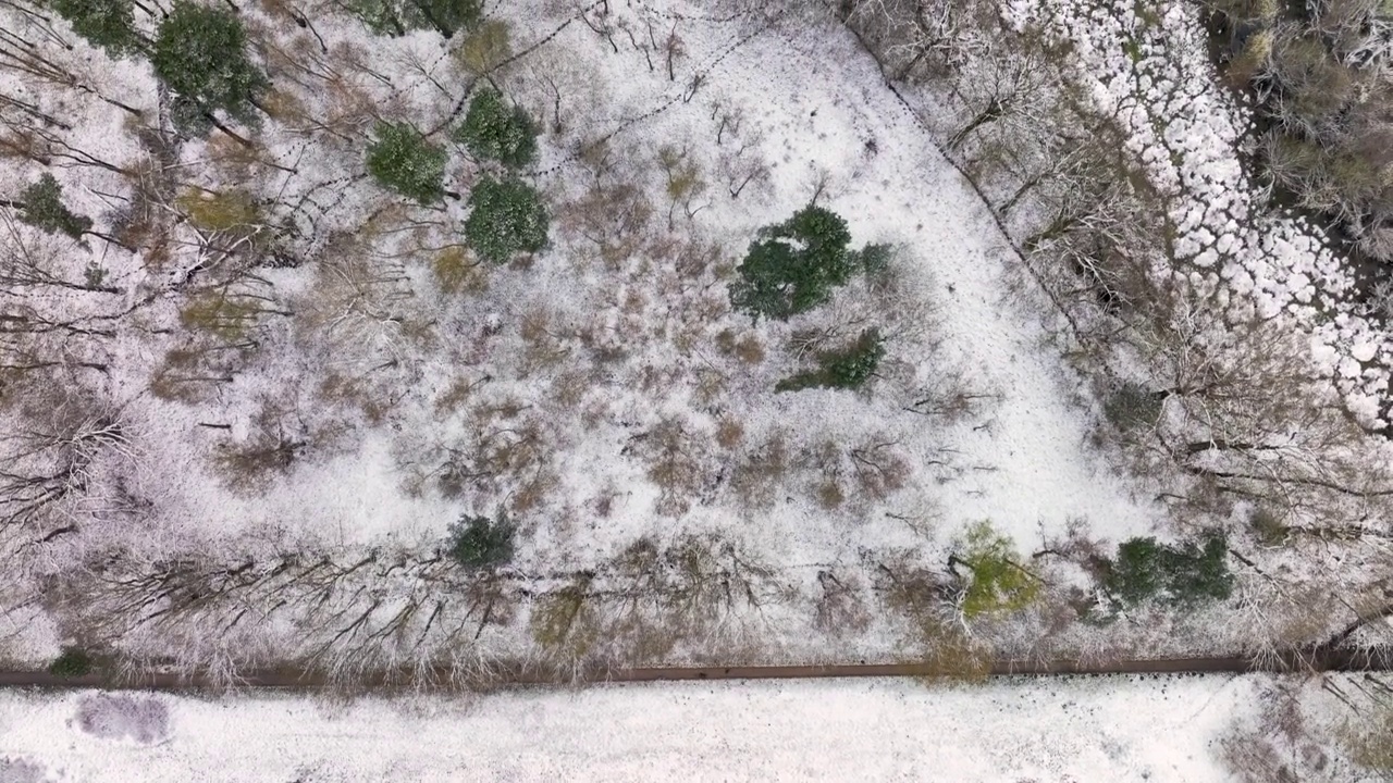 荷兰，奥维杰塞尔，特温特，白雪覆盖的Witte Veen自然区鸟瞰图视频素材