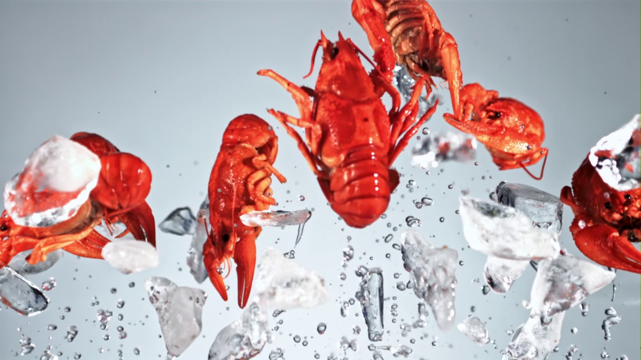 带着冰块的小龙虾爬起来又掉下来。用高速摄影机以每秒1000帧的速度拍摄。视频下载