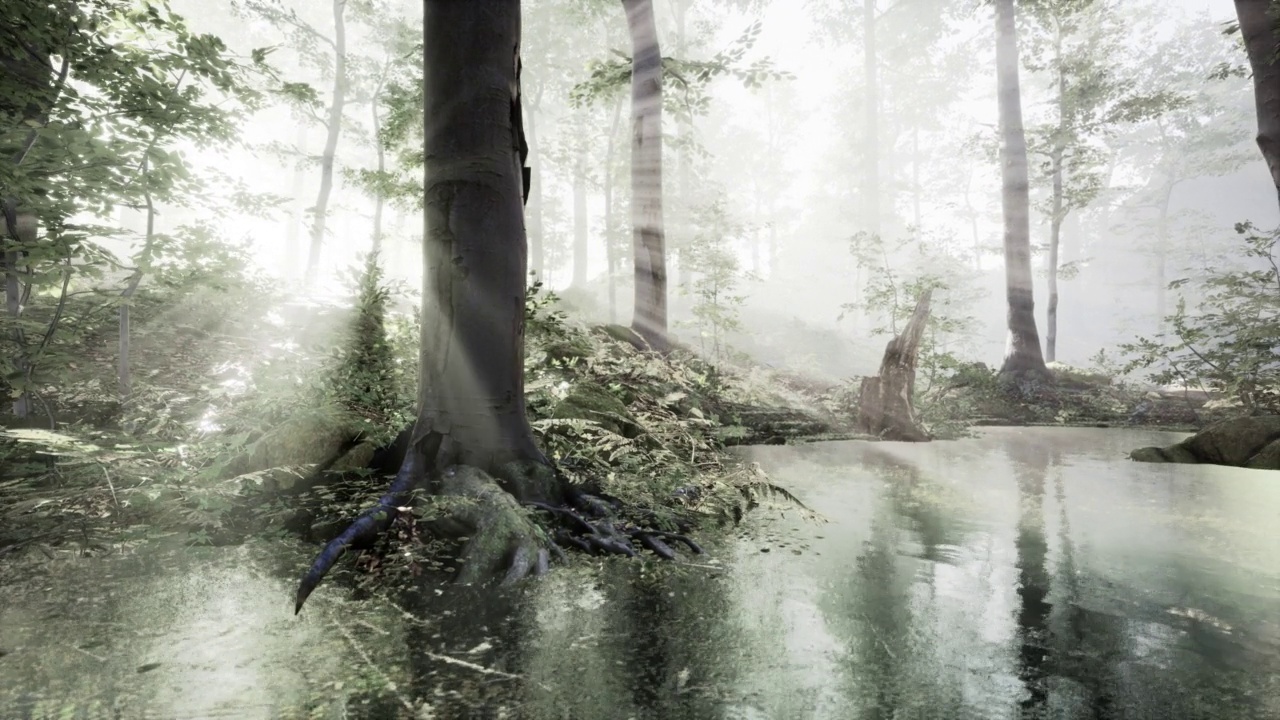 湖在黑暗中巍峨的常绿森林中视频下载