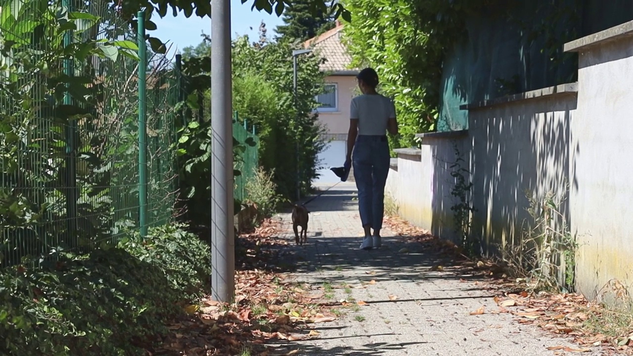 一个小女孩牵着一只狗走在路上。视频素材