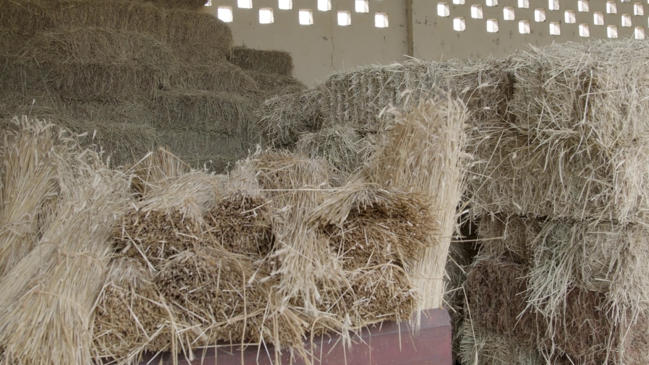稻草在一个古老的农业仓库，锅视频下载